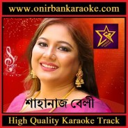 Amar Matiro Pinjiray Sonar Moyna Re Karaoke By Shahnaz Bely (Scrolling)